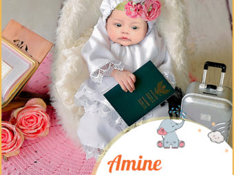 Amine, a multicultural name with rich history.