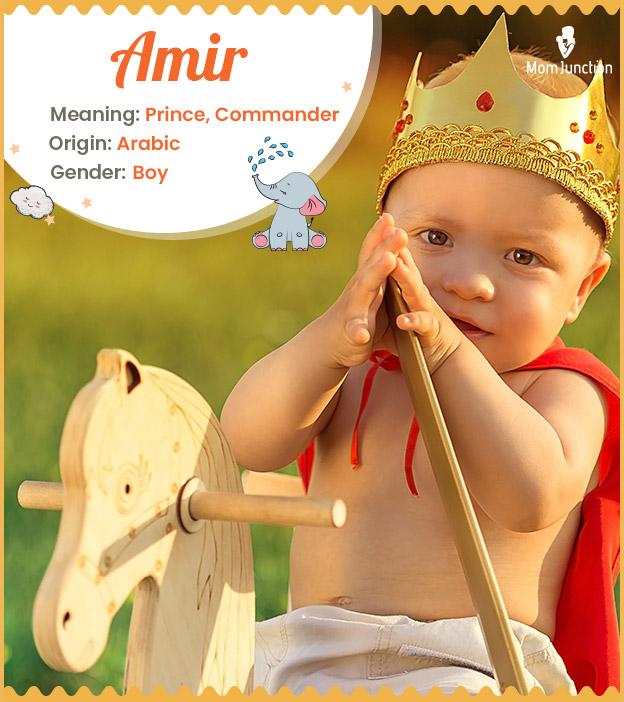 amir-name-meaning-origin-history-and-popularity