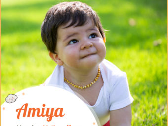 Amiya means honest or mother village