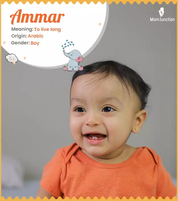 ammar: Name Meaning, Origin, History, And Popularity | MomJunction