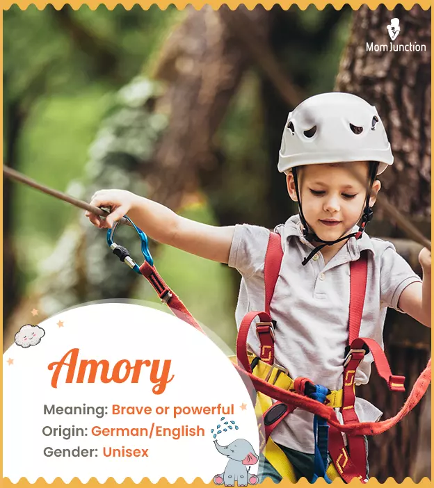 Amory Name Meaning, Origin, History, And Popularity | MomJunction