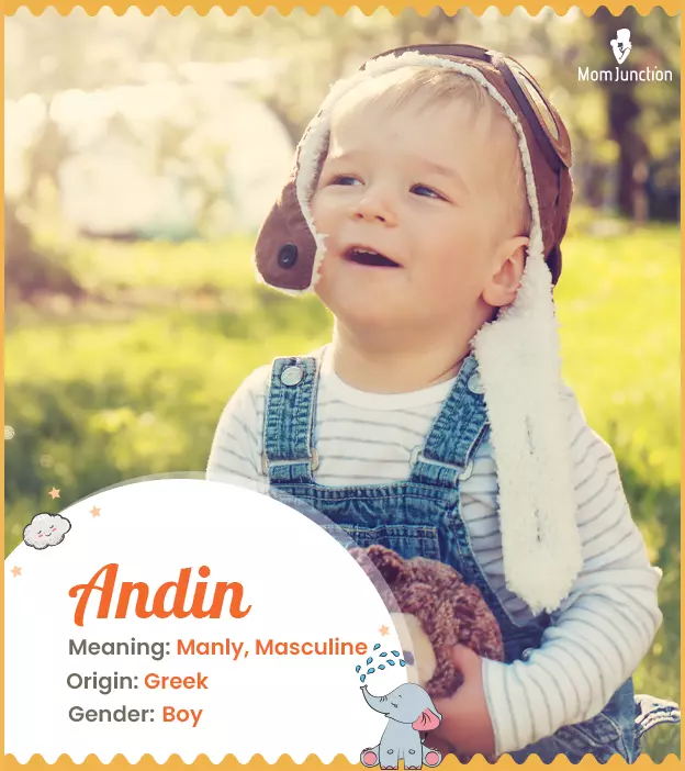 Andin means masculin