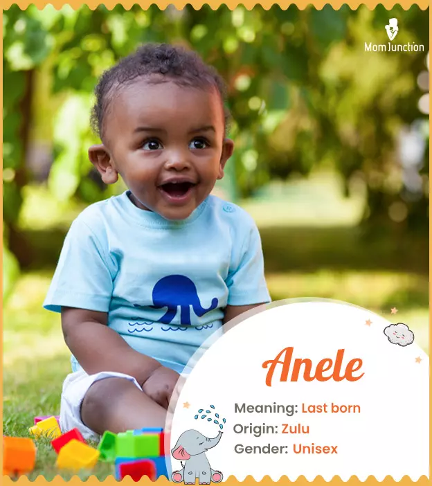 Anele Baby Name: Meaning, Origin, Popularity_image