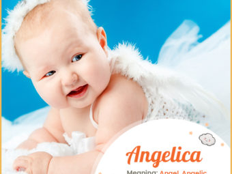 Angelica, meaning angel, angelic