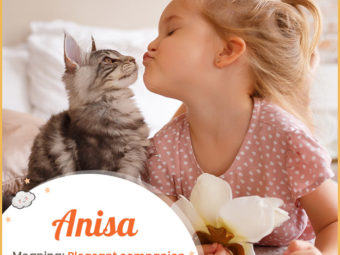 Anisa, meaning pleasant companion or like love.