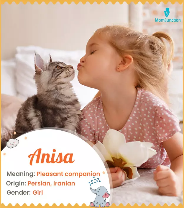 Anisa Name Meaning, Origin, History, And Popularity | MomJunction