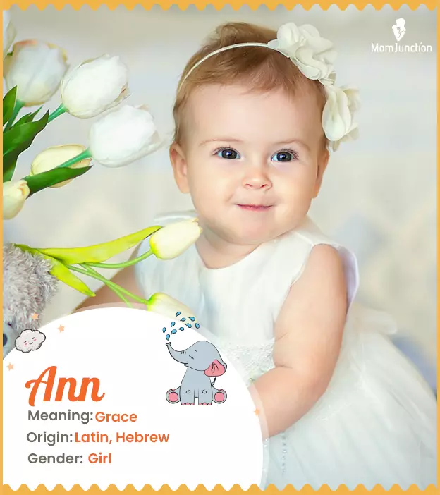 Ann: Name Meaning, Origin, History, And Popularity_image