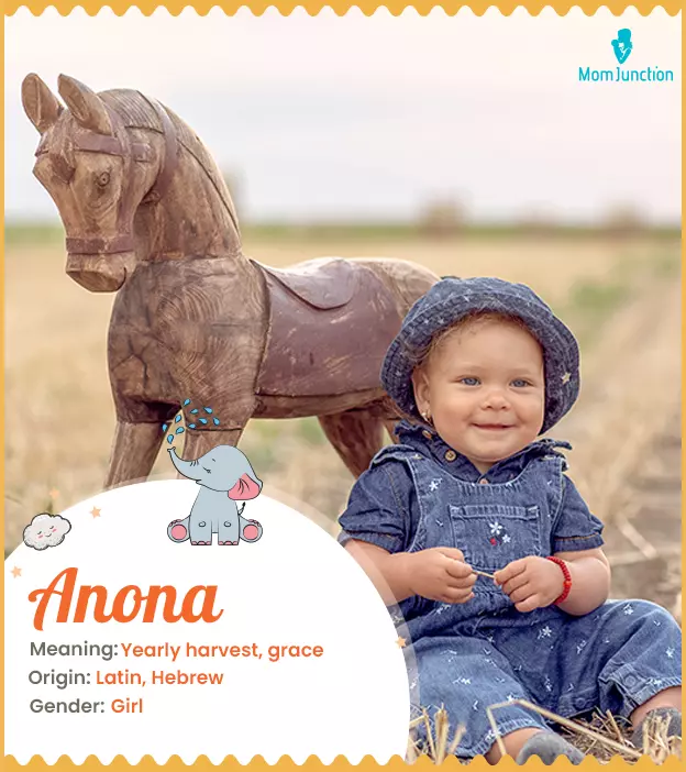 Anona Name Meaning, Origin, History, And Popularity_image