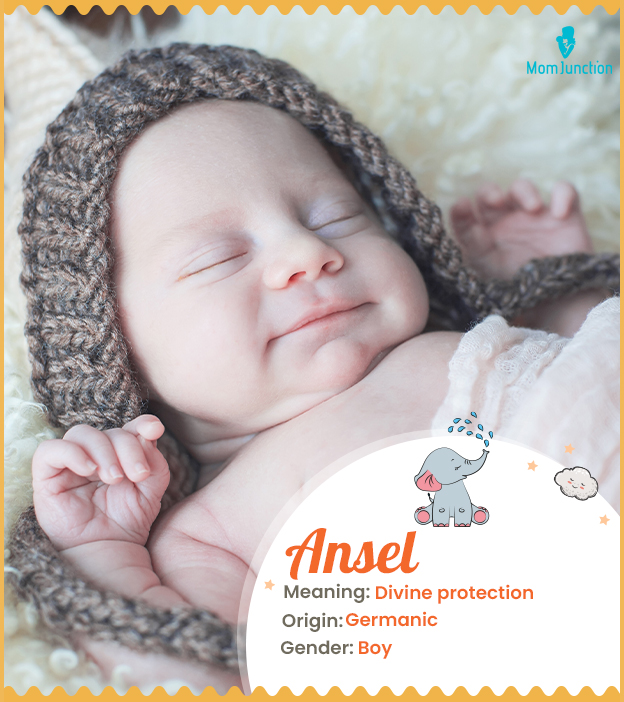 ansel: Name Meaning, Origin, History, And Popularity_image