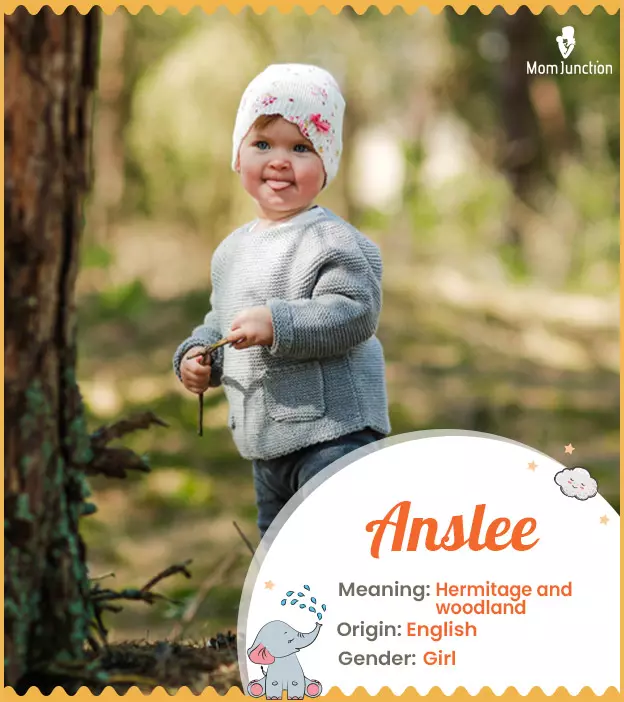 Anslee Name Meaning, Origin, History, And Popularity_image