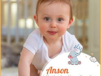 Anson, a boy name