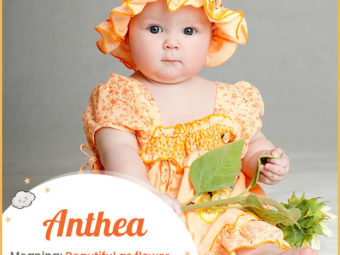Anthea, referring to someone as beautiful as a flower