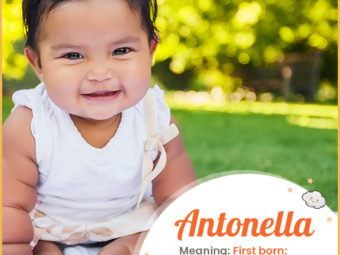 Antonella, a perfect blend of grace and style