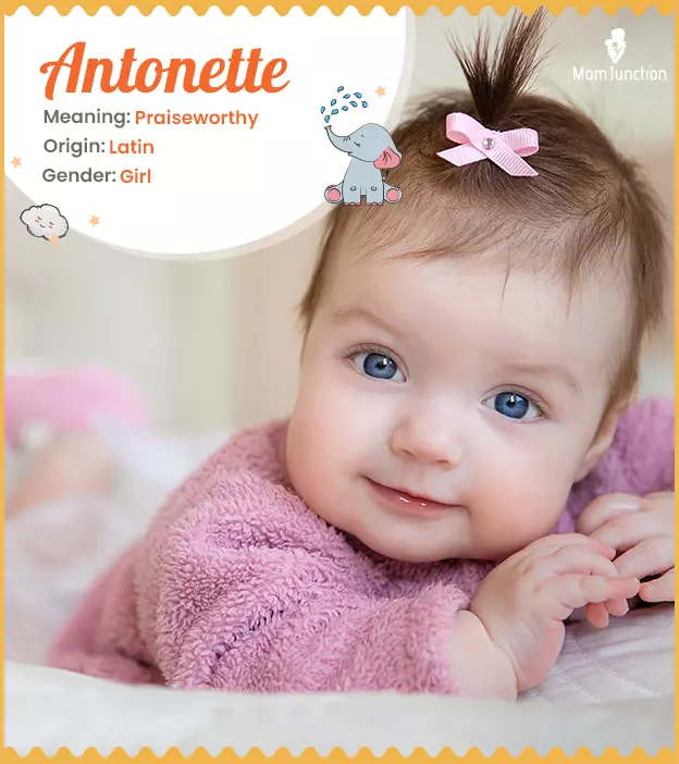 Antonette Name Meaning, Origin, History, And Popularity ...