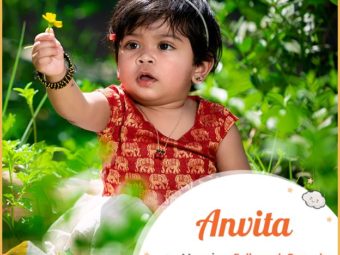 Anvita, one who is loved by all
