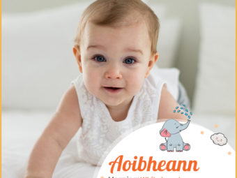 Aoibheann, Irish name