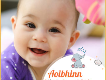 Aoibhinn, an Irish name