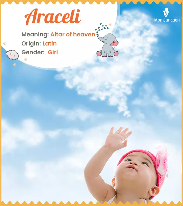 araceli: Name Meaning, Origin, History, And Popularity_image