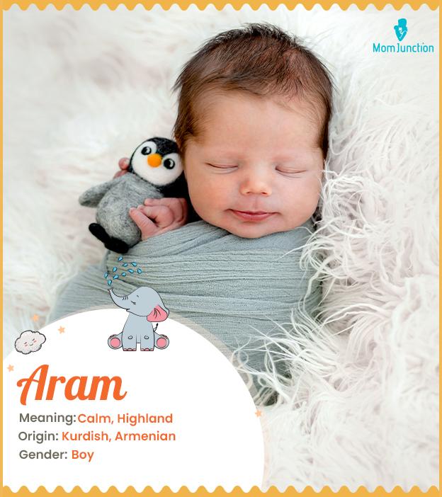 Aram, a calm baby bo