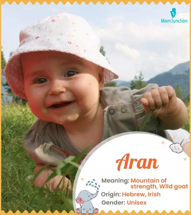 Aran Name, Meaning, Origin, History, And Popularity | MomJunction