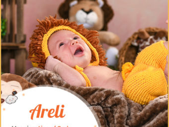 Areli, a cute little lion