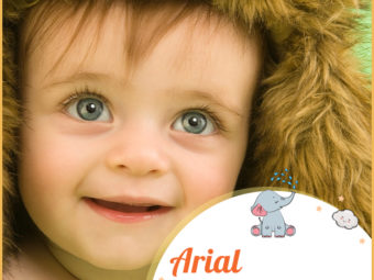 Arial, meaning lion of God
