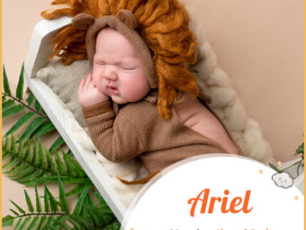 Ariel, a Hebrew name meaning Lion of God