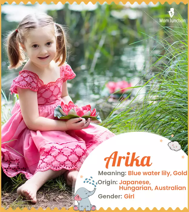 Arika: Name Meaning, Origin, History, And Popularity | MomJunction