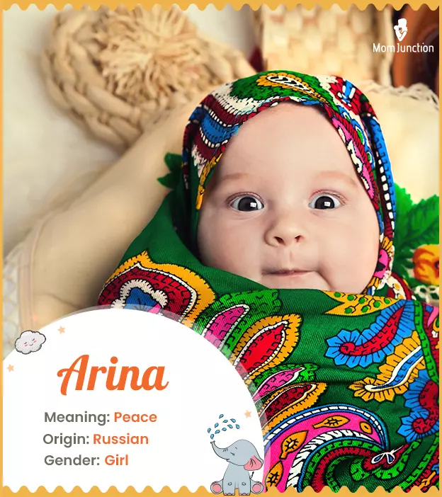 Arina Name Meaning, Origin, History, And Popularity_image