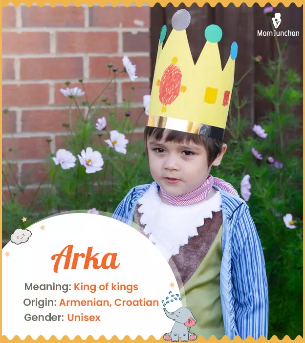 Arka Baby Name: Meaning, Origin, Popularity | MomJunction