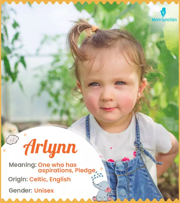 Arlynn Baby Name: Meaning, Origin, Popularity_image