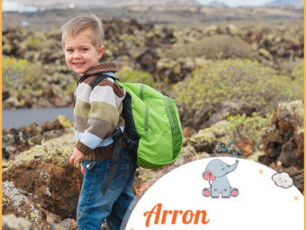 Arron, means mountain of strength, enlightened, exalted, or warrior lion.