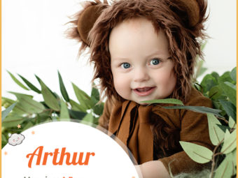 Arthur symbolizes a bear