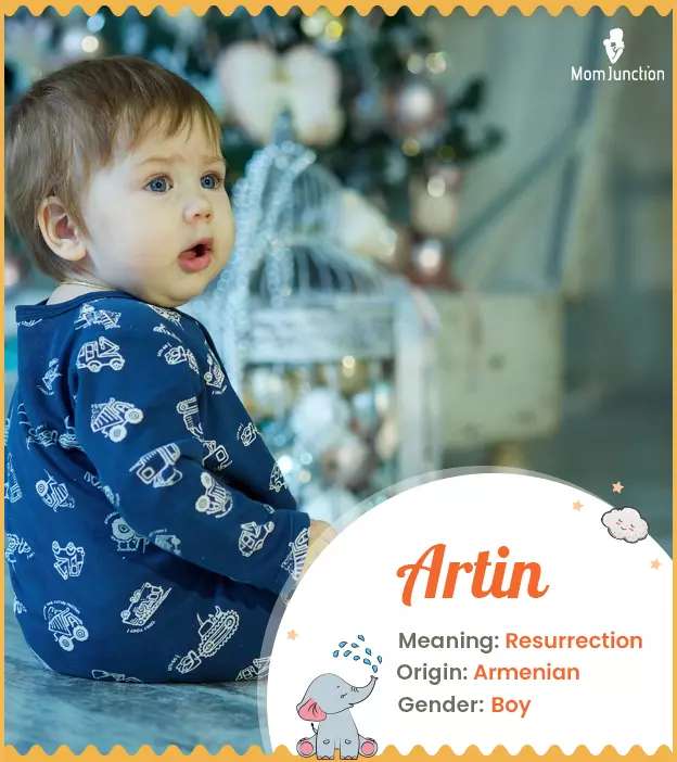 Artin Baby Name: Meaning, Origin, Popularity | MomJunction
