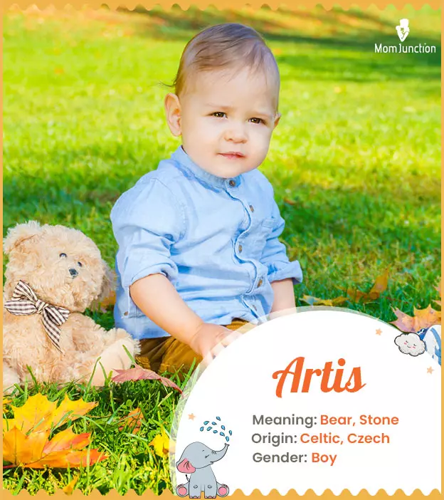 Artis means bear.