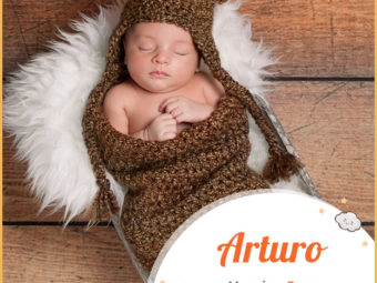 Arturo, meaning bear