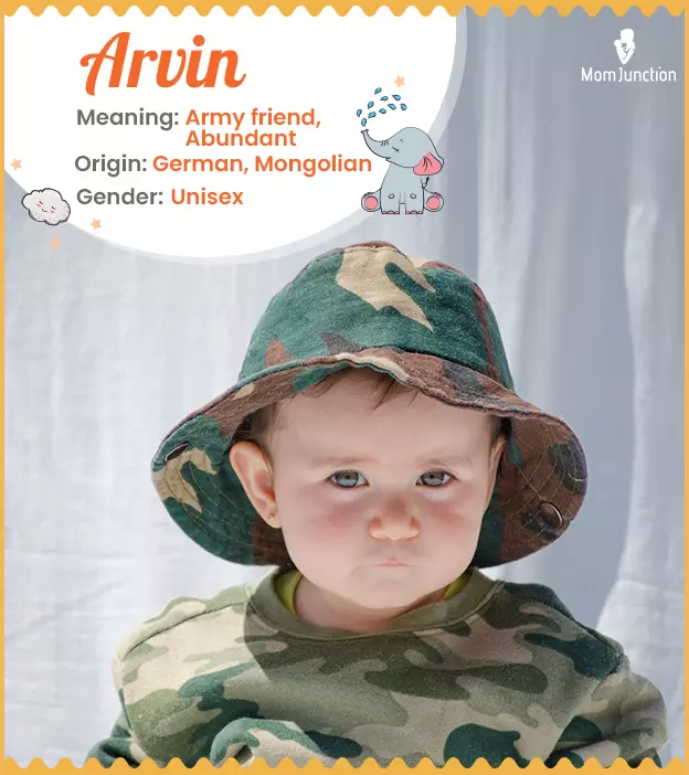 arvin: Name Meaning, Origin, History, And Popularity | MomJunction