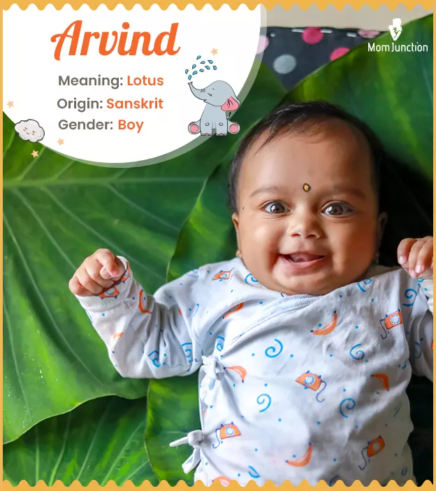 arvind: Name Meaning, Origin, History, And Popularity | MomJunction