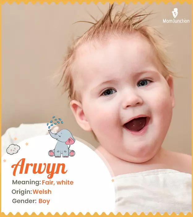 Arwyn Name, Meaning, Origin, History, And Popularity | MomJunction