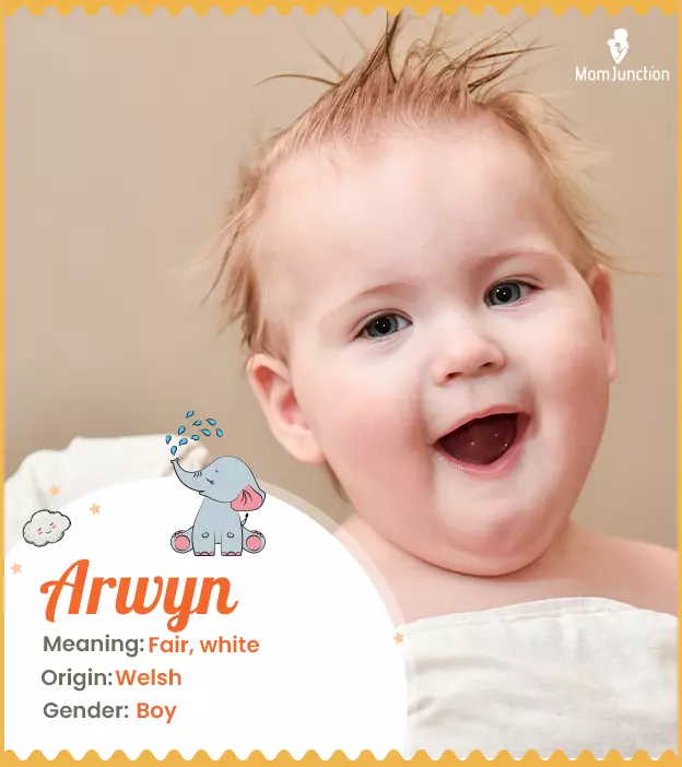 Arwen, a Welsh girl name