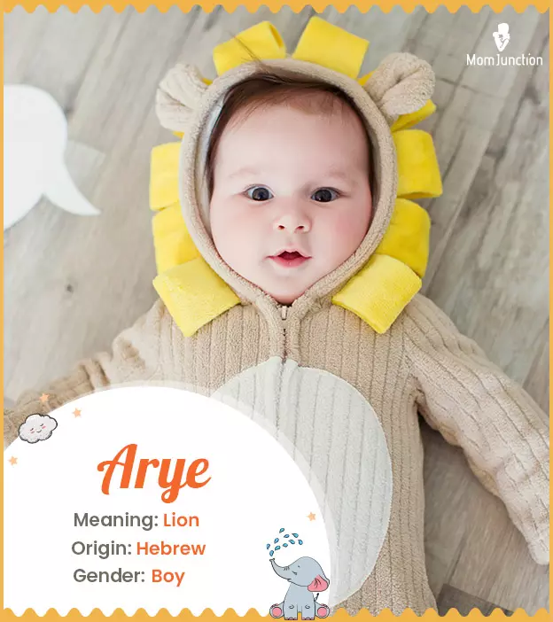 Arye Name Meaning, Origin, History, And Popularity | MomJunction