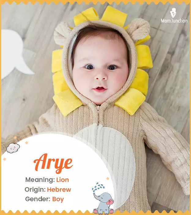 Arye Name Meaning, Origin, History, And Popularity_image