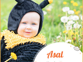 Asal, meaning Honey