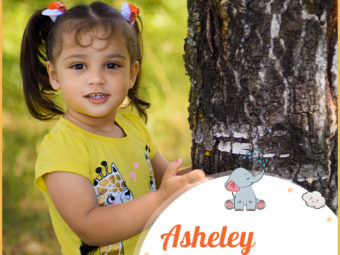 Asheley, living near an ash meadow