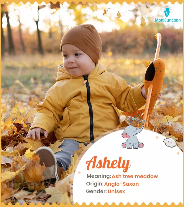 Ashely Name Meaning, Origin, History, And Popularity_image