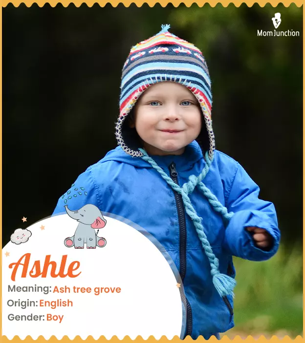 Ashle Meaning, Origin, History, And Popularity_image