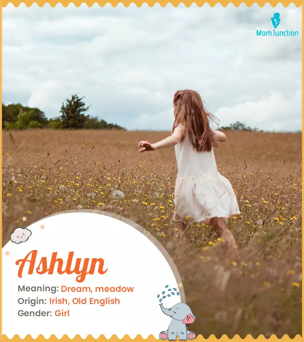 Ashlyn Name, Origin, Meaning, And History | MomJunction