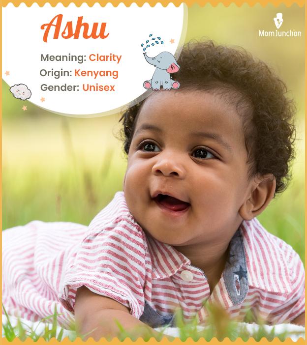 Ashu Baby Name: Meaning, Origin, Popularity_image