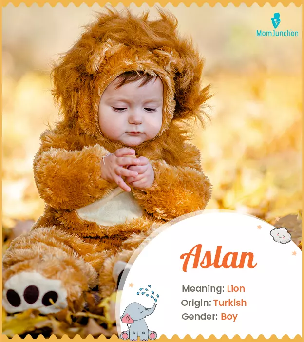 Aslan, a name that evokes admiration and courage.