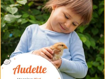 Audette, meaning bird